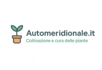 Automeridionale.it