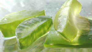 Immagine che mostra il processo di estrazione del gel dall'Aloe Vera senza danneggiare la pianta.